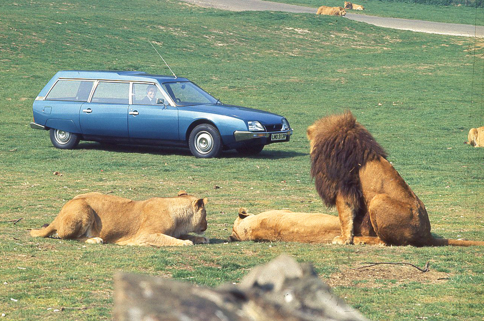 Classic & Sports Car – Buyer’s guide: Citroën CX