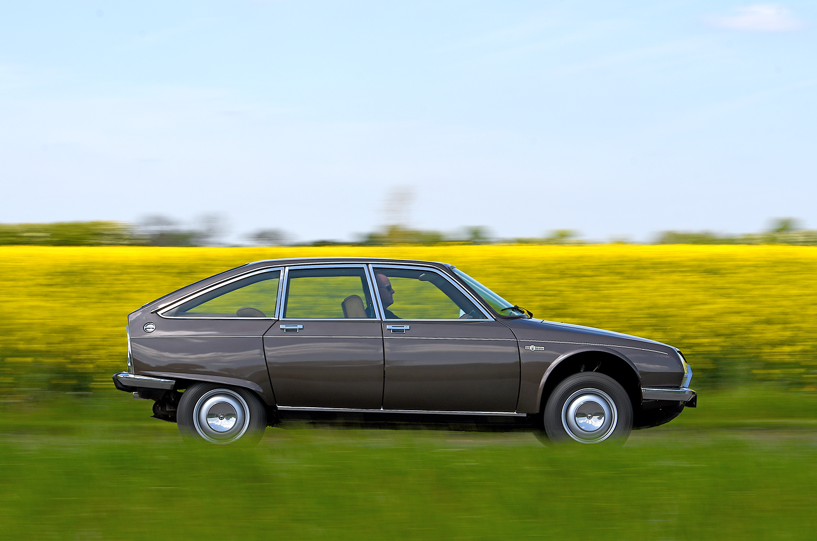 Chocolate brown seems the default choice