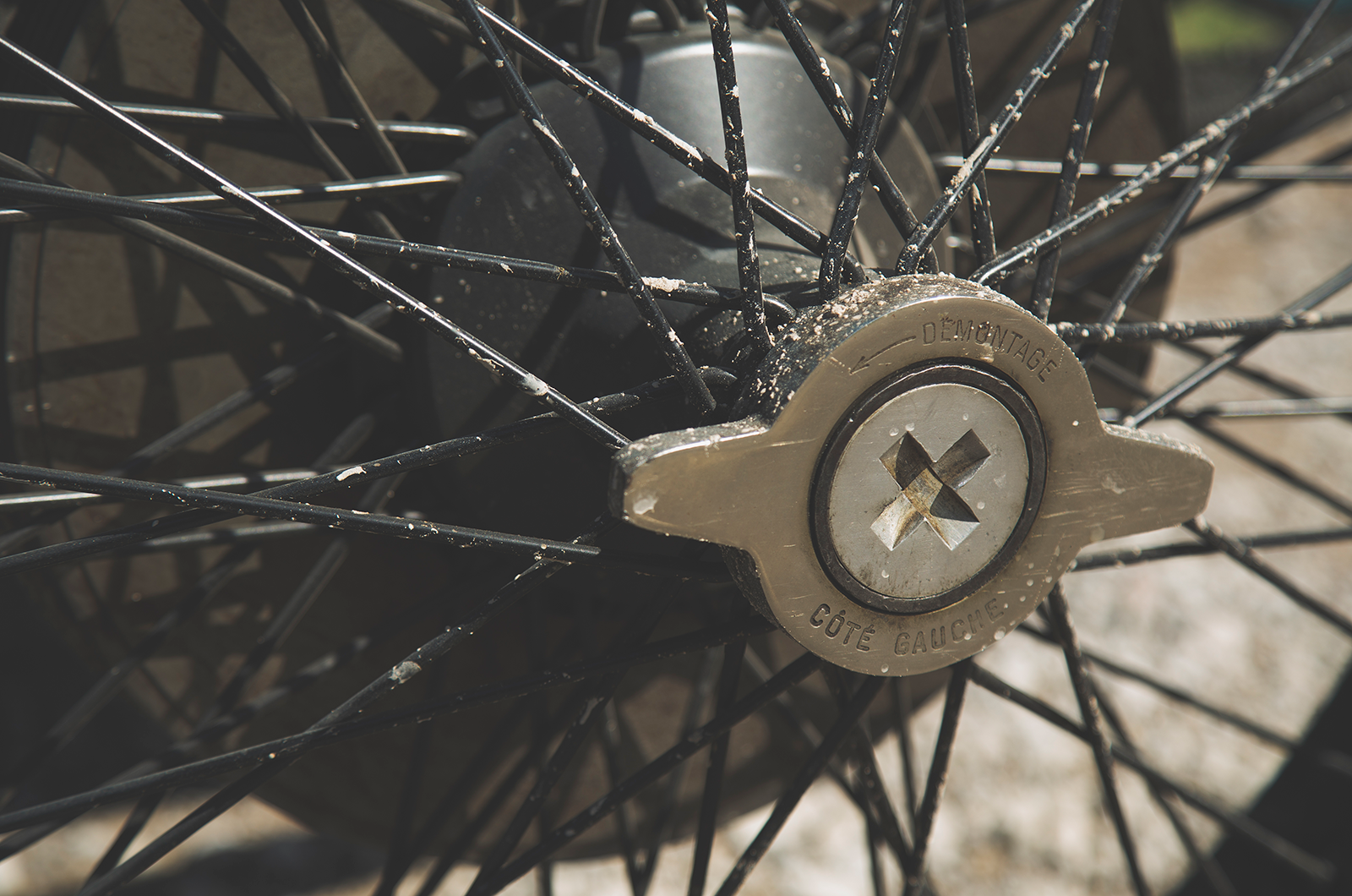 Classic & Sports Car – Ballot 3/8 LC: the first Italian Grand Prix winner