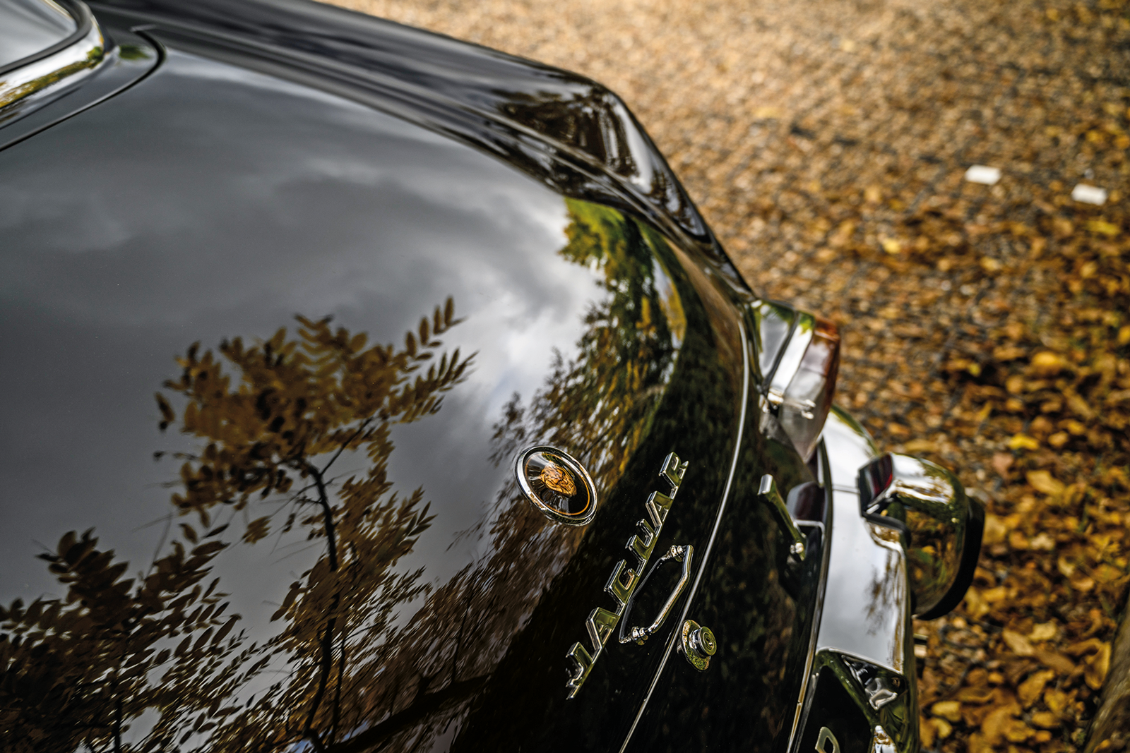 Classic & Sports Car – How brilliant Bertone reimagined the Jaguar XK150