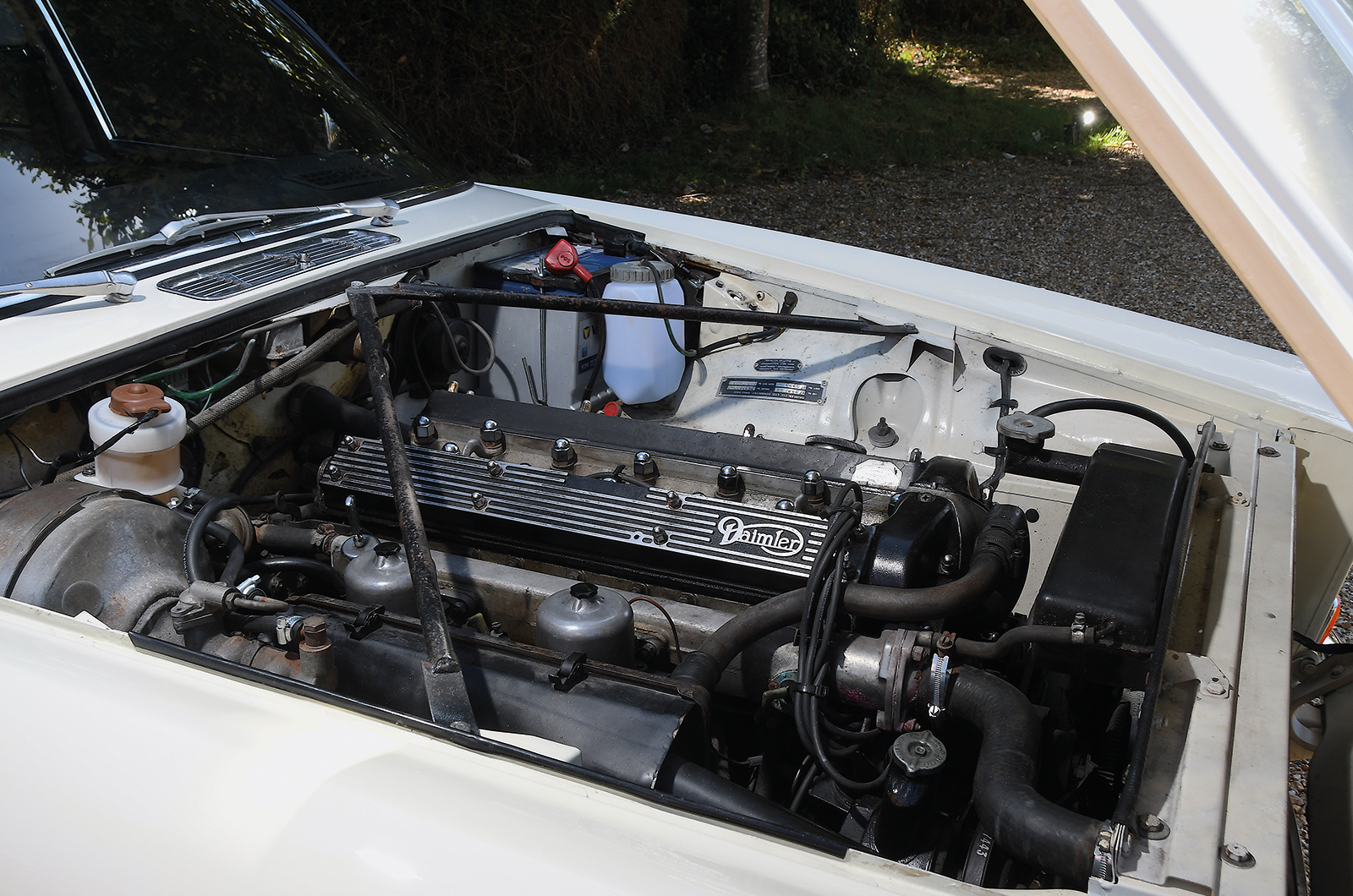 Classic & Sports Car – Executive elegance: Volvo 164 vs Daimler Sovereign 2.8