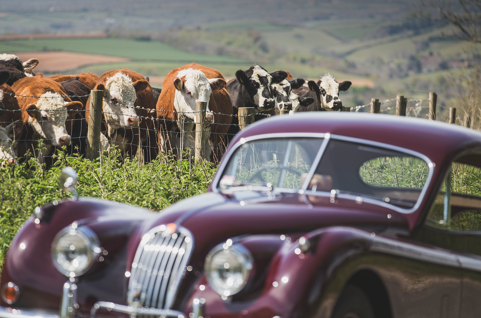 Classic & Sports Car – Restoring grandad’s Jaguar XK140