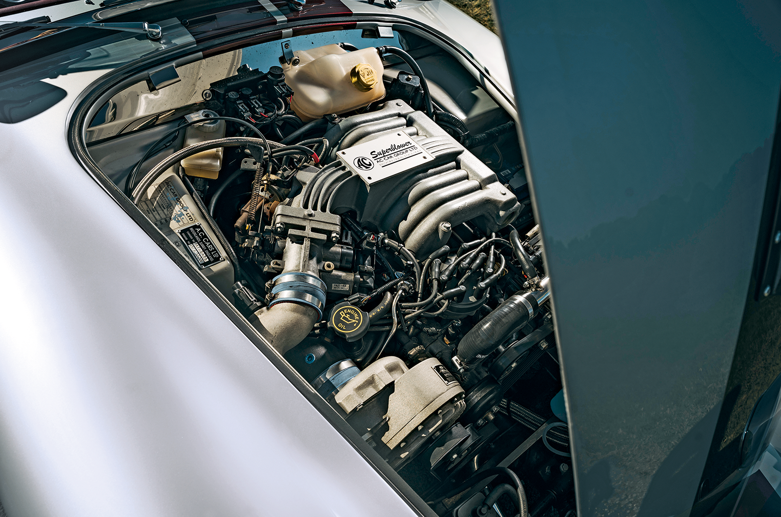 Classic & Sports Car – Cobra: the beat goes on