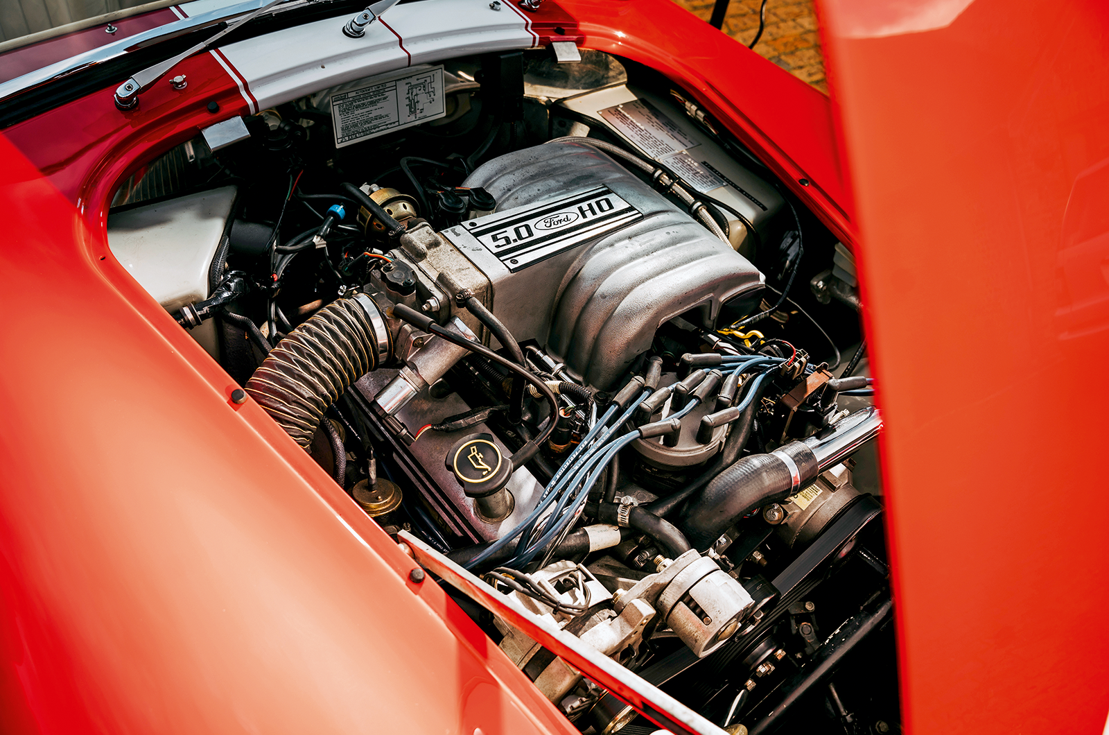 Classic & Sports Car – Cobra: the beat goes on