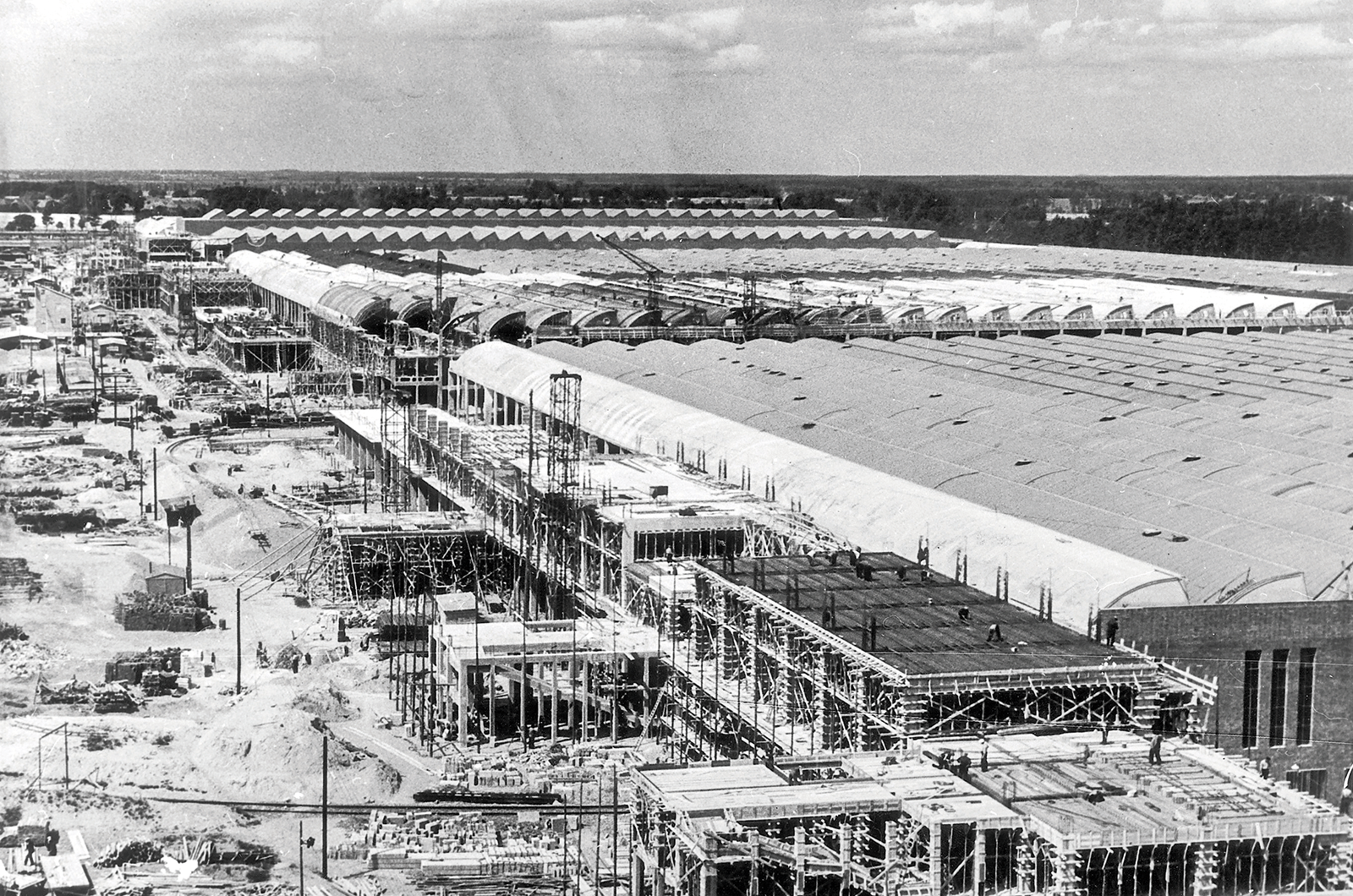 Classic & Sports Car – Volkswagen Beetle: Wolfsburg’s miracle car