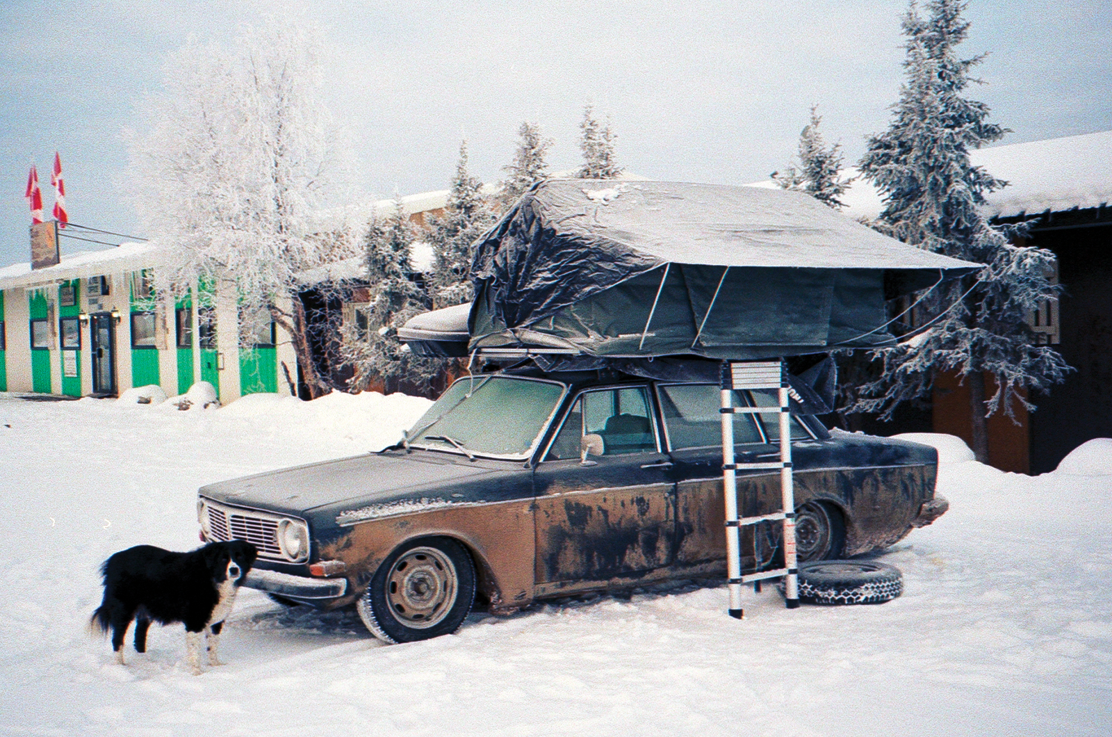 Classic & Sports Car – Retelling an epic Canadian adventure in a classic Volvo