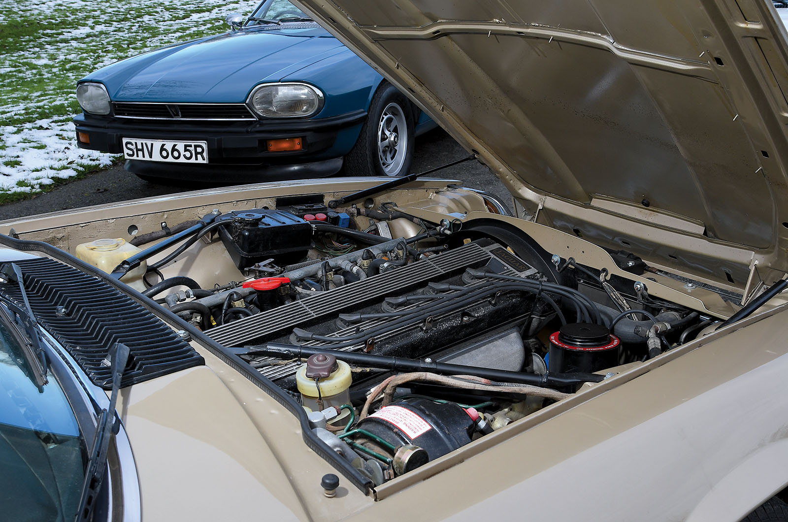 Classic & Sports Car – Jaguar XJ-S at 50: cream of the cats