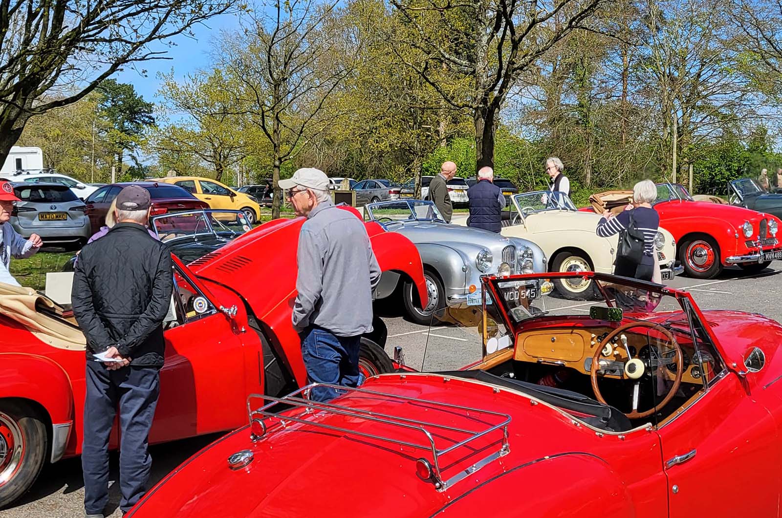Classic & Sports Car – Drive It Day 2025: 23 ways to join in