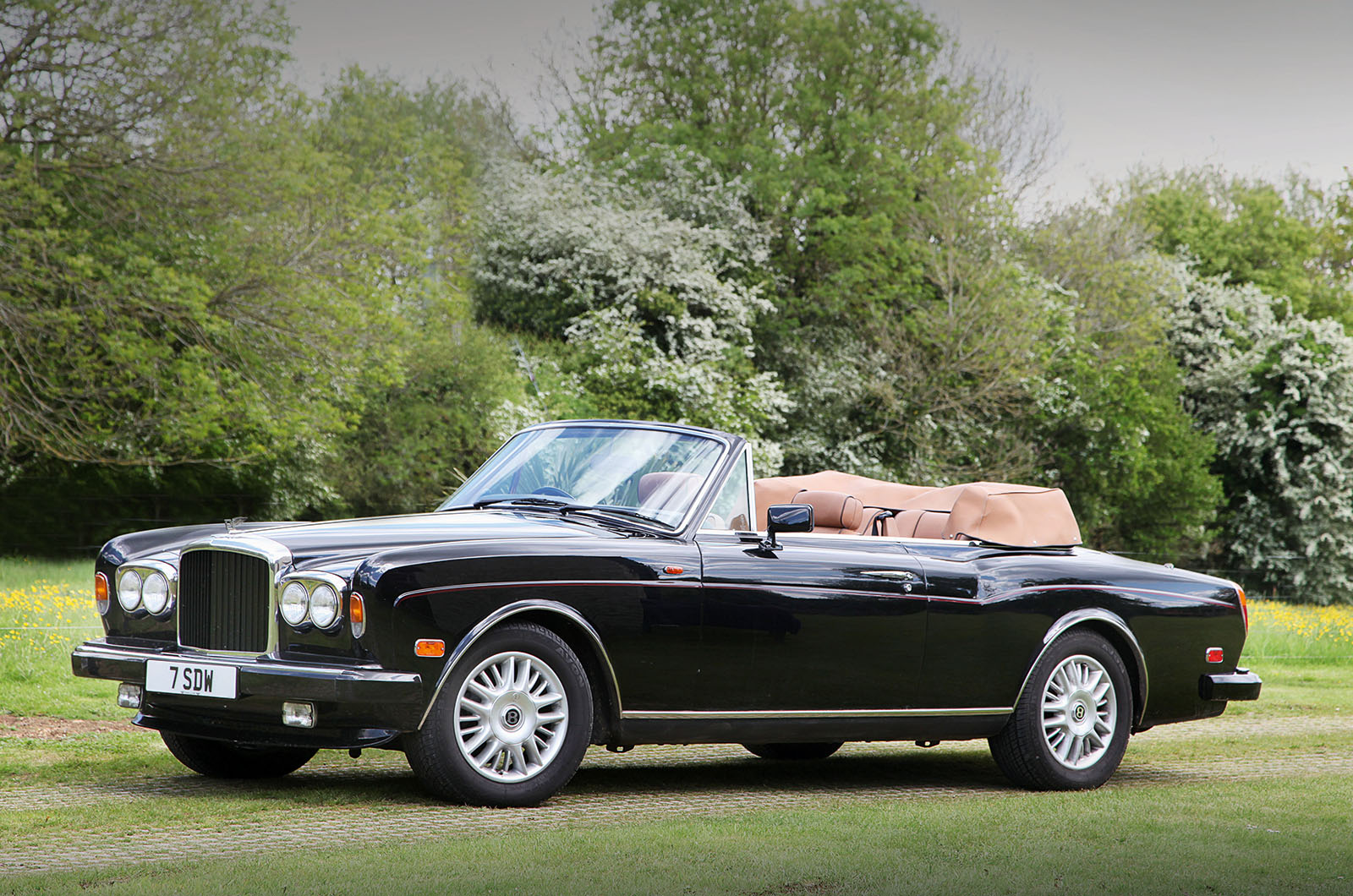 Classic & Sports Car – Bentley Continentals: style, speed and luxury