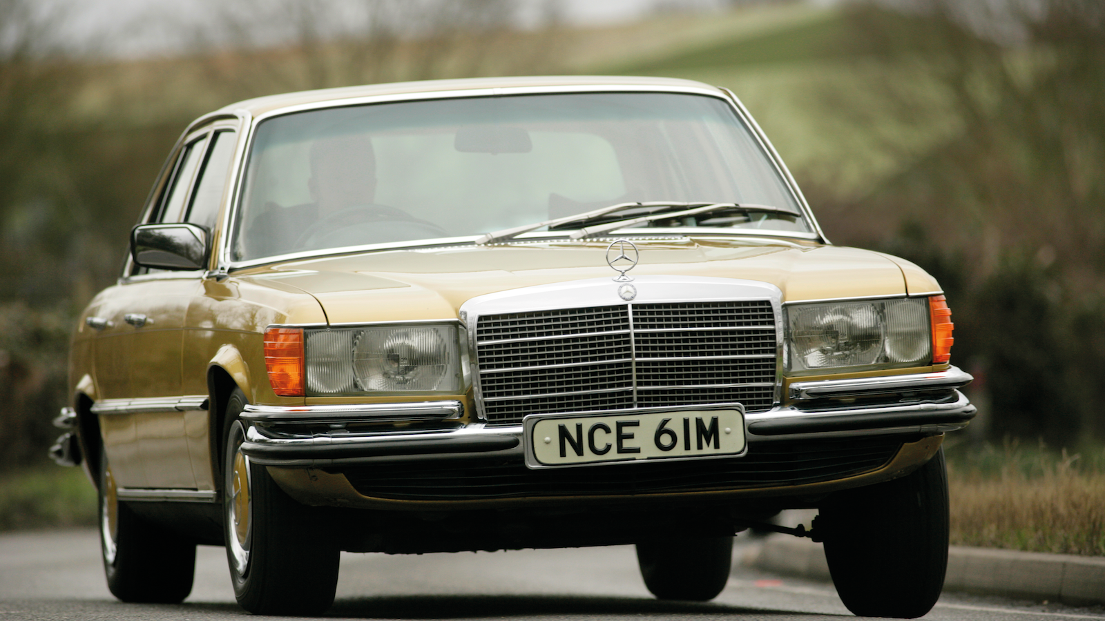 COTY winners and losers