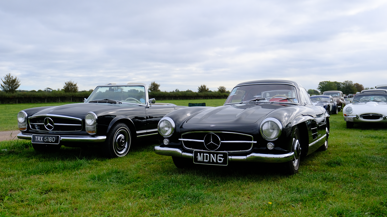 Goodwood Revival 2019: in pictures